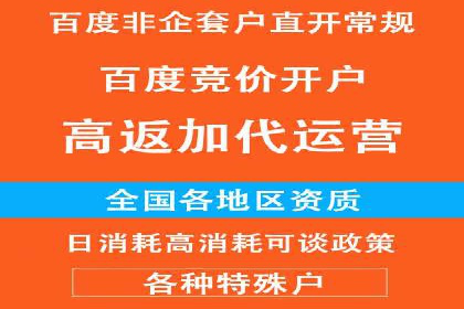 百度推广优化实战技巧与案例分享